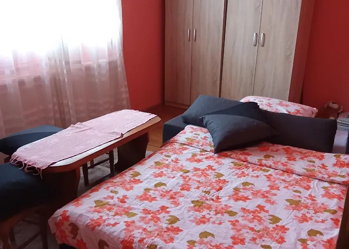 Timocko Gnezdo